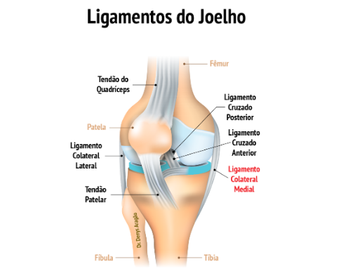 Ligamentos do Joelho | Dr. Denys Aragão